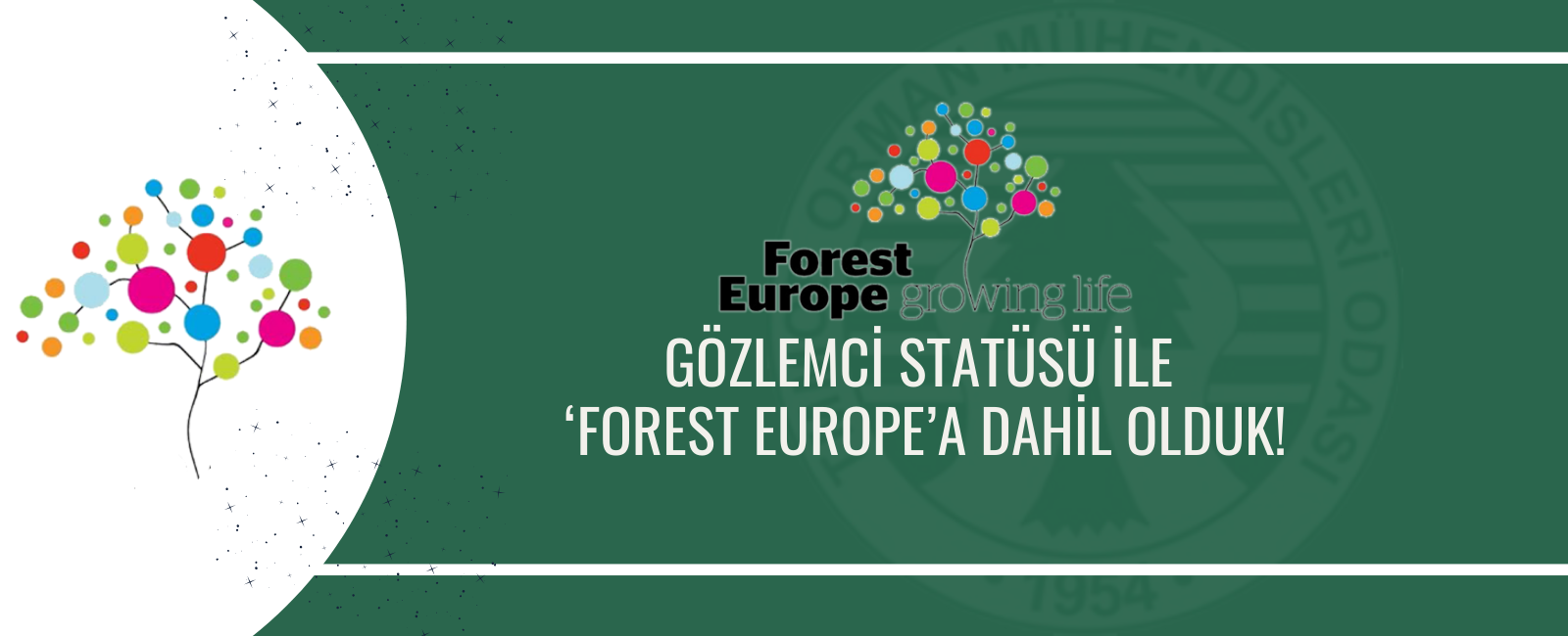 Gözlemci Statüsü ile ‘Forest Europe’a Dahil Olduk!