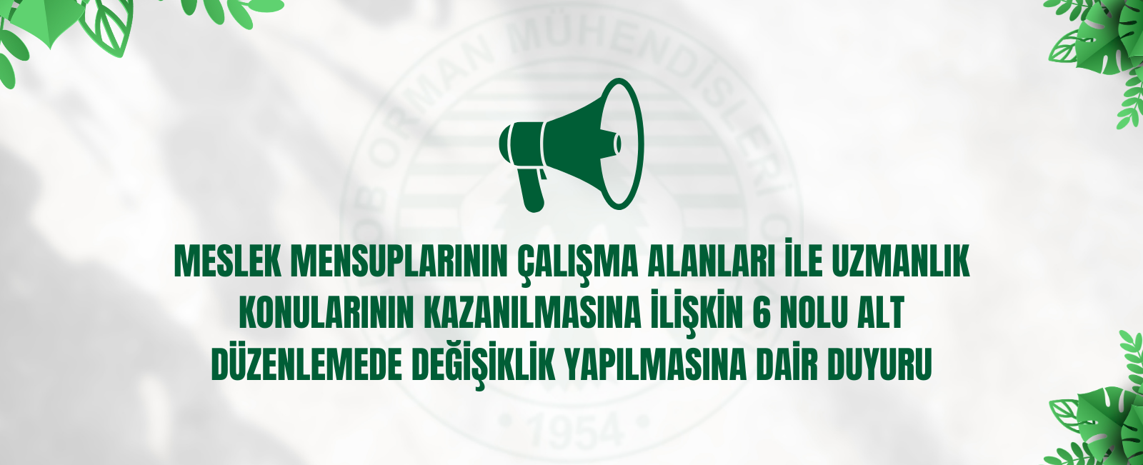 MESLEK MENSUPLARININ ÇALIŞMA ALANLARI İLE UZMANLIK KONULARININ KAZANILMASINA İLİŞKİN 6 NOLU ALT DÜZENLEMEDE DEĞİŞİKLİK YAPILMASINA DAİR DUYURU