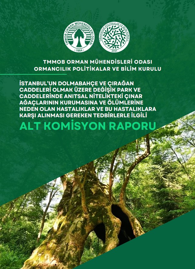 OPBK RAPOR
