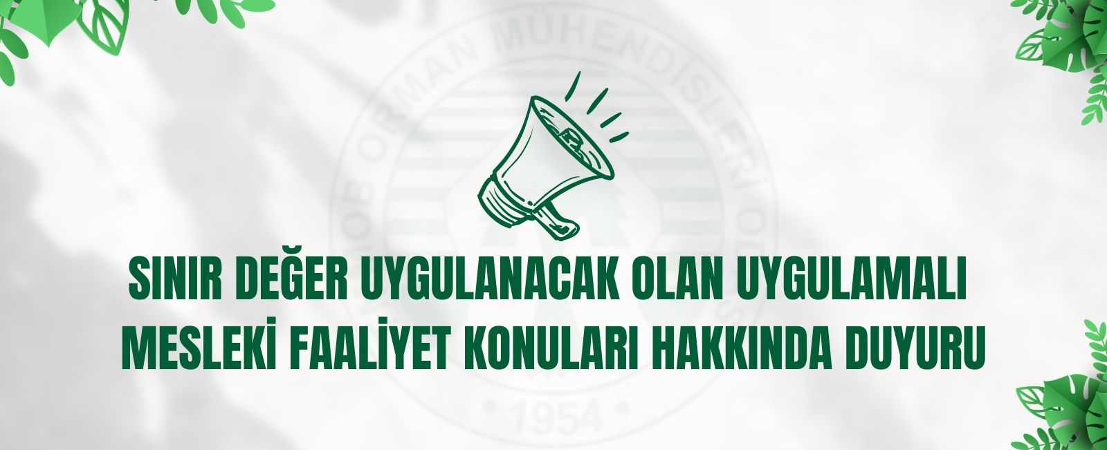 SINIR DEĞER UYGULANACAK OLAN UYGULAMALI  MESLEKİ FAALİYET KONULARI HAKKINDA DUYURU