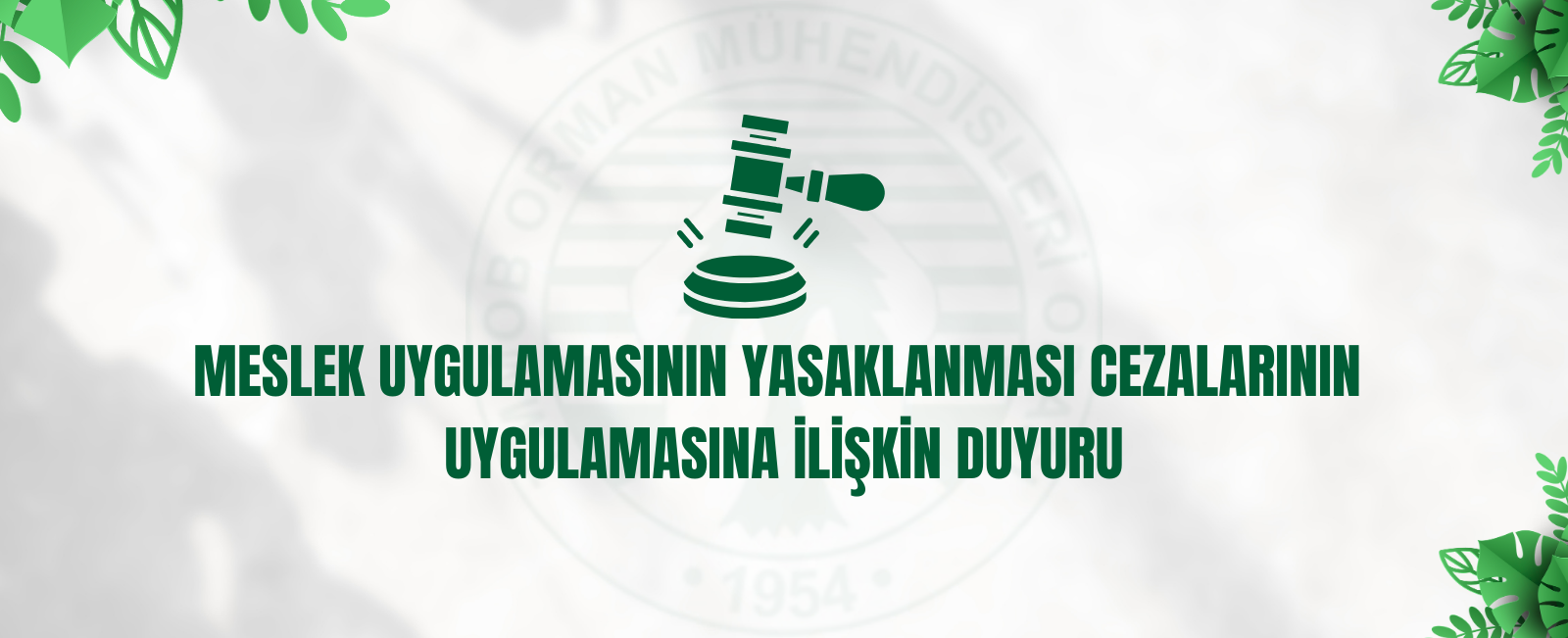 MESLEK UYGULAMASININ YASAKLANMASI CEZALARININ  UYGULAMASINA İLİŞKİN DUYURU