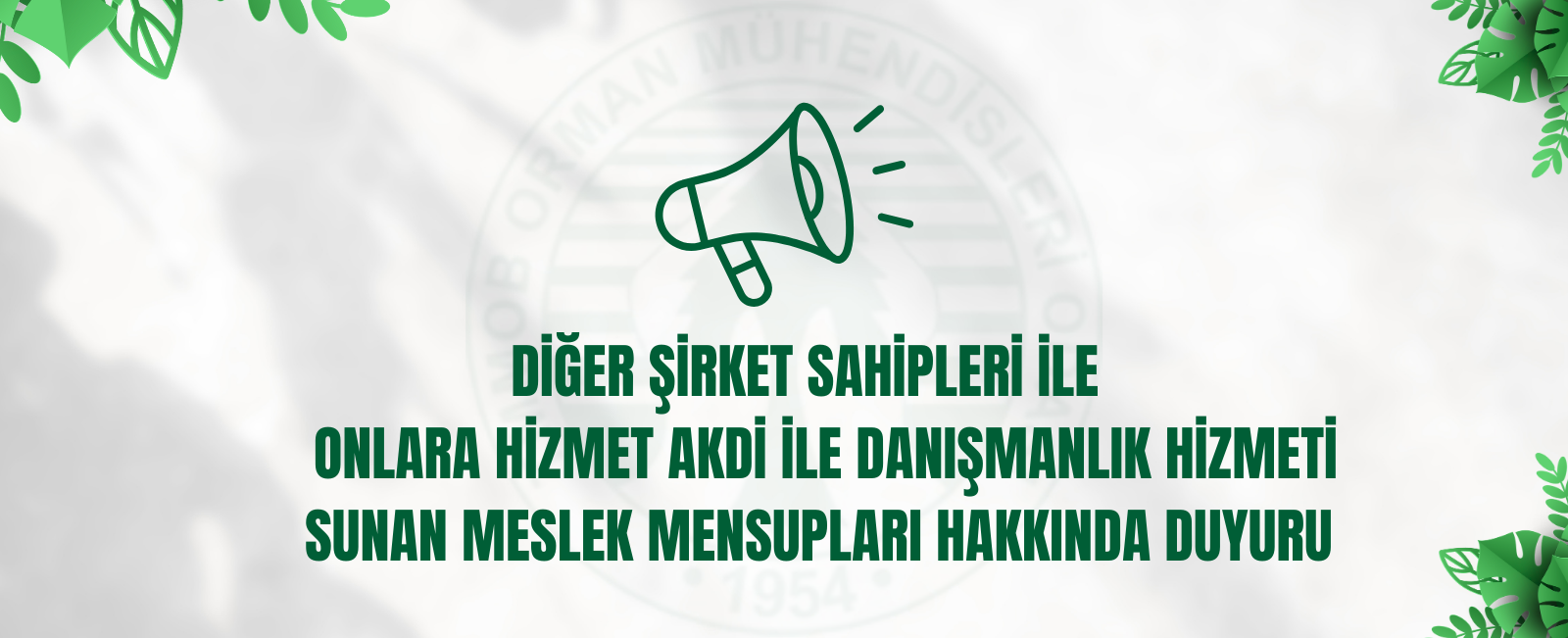 DİĞER ŞİRKET SAHİPLERİ İLE ONLARA HİZMET AKDİ İLE DANIŞMANLIK HİZMETİ SUNAN MESLEK MENSUPLARI HAKKINDA DUYURU