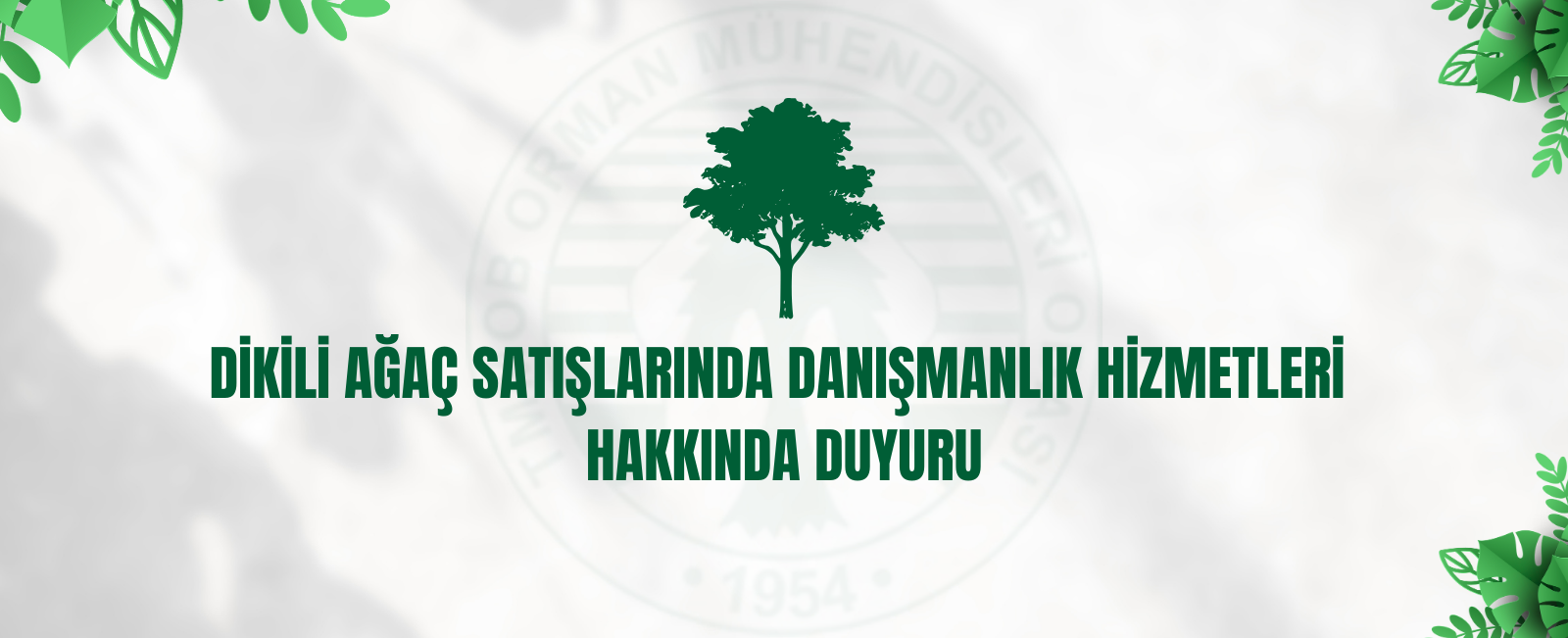 DİKİLİ AĞAÇ SATIŞLARINDA DANIŞMANLIK HİZMETLERİ  HAKKINDA DUYURU