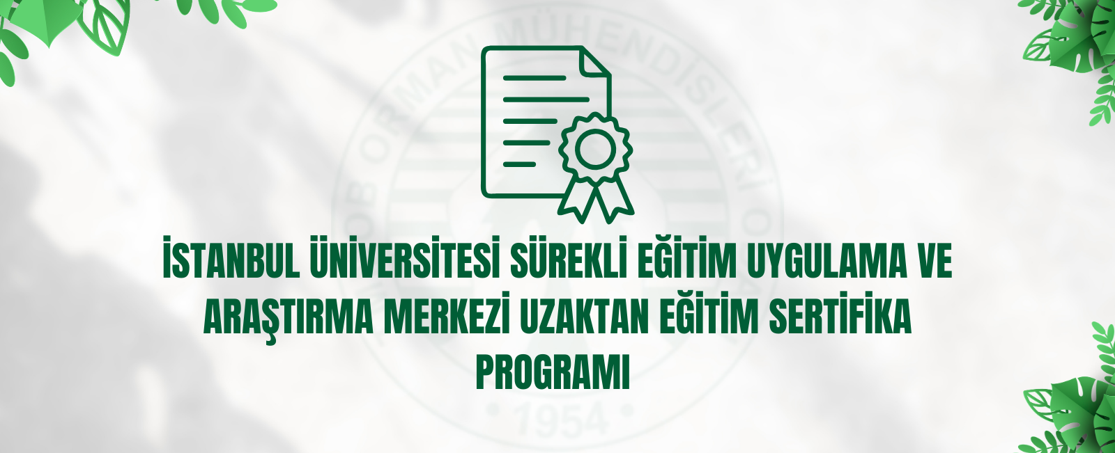 İSTANBUL ÜNİVERSİTESİ SÜREKLİ EĞİTİM UYGULAMA VE ARAŞTIRMA MERKEZİ UZAKTAN EĞİTİM SERTİFİKA PROGRAMI 