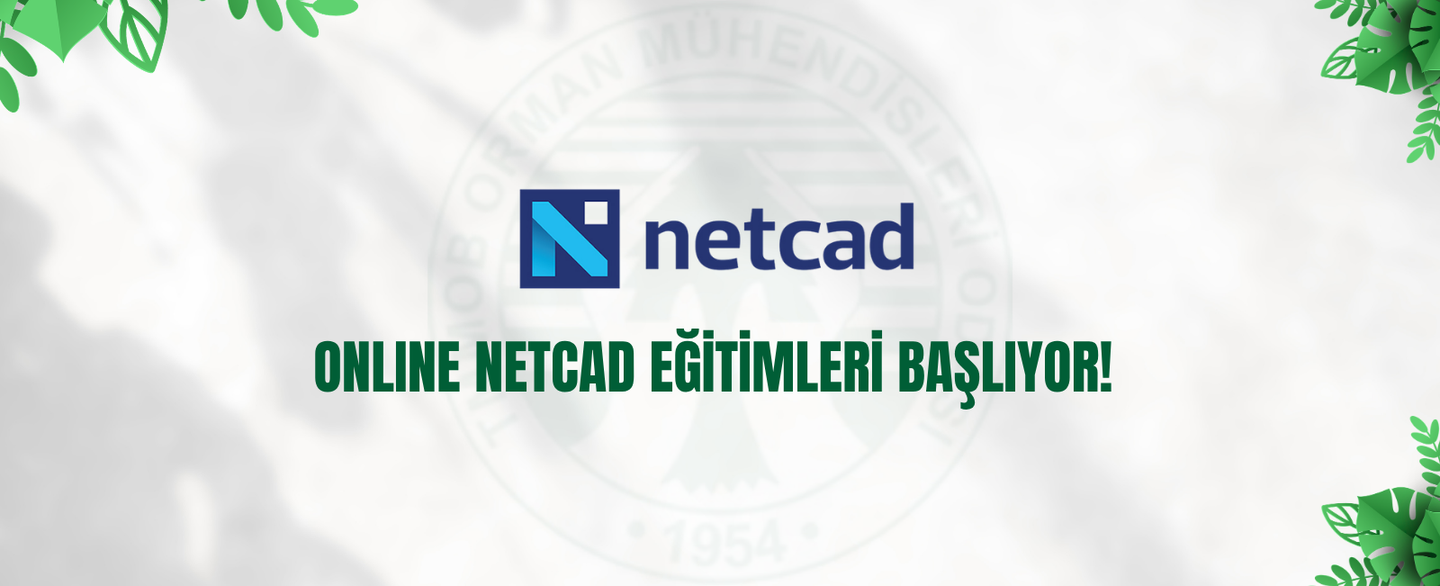 ONLINE NETCAD EĞİTİMLERİ BAŞLIYOR!
